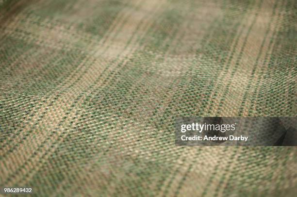 Mary Rae Mary Rae Photos and Premium High Res Pictures - Getty Images
