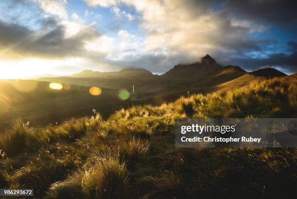 pichincha - pichincha bildbanksfoton och bilder