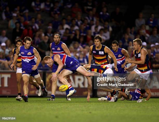 Adam Cooney of the Bulldogs attempts to gather the ball during the round five AFL match between the Western Bulldogs and the Adelaide Crows at Etihad...