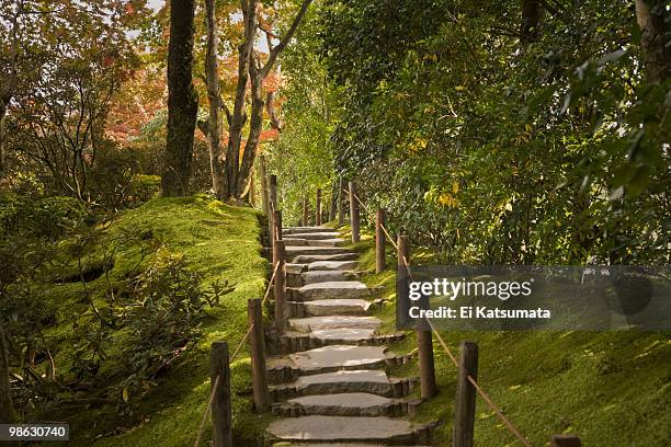 japanese garden - ei 個照片及圖片檔