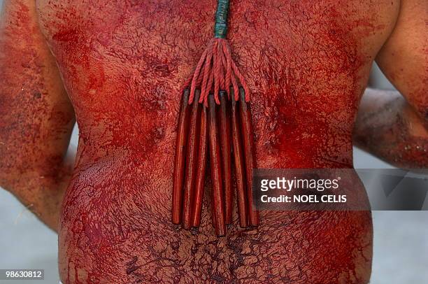 Flagellant whips his bloody back with bamboo during the re-enactment of the crucifixion of Jesus Christ in Paombong, Bulacan, north of Manila on...