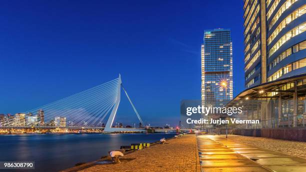 kop van zuid - rotterdam - kop stock pictures, royalty-free photos & images