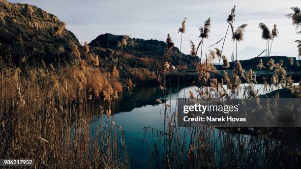 Realm Inages 419 Woodland Realm Stock Photos, High-Res Pictures, and Images - Getty ...