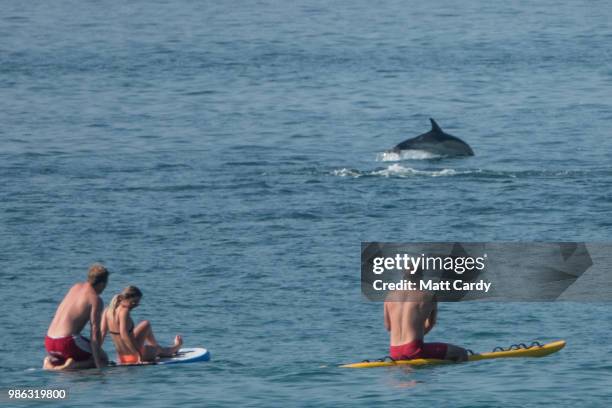 Dolphins swim out to sea at Sennen Cove near Penzance on June 28, 2018 in Cornwall, England. Parts of the UK are continuing to experience heatwave...