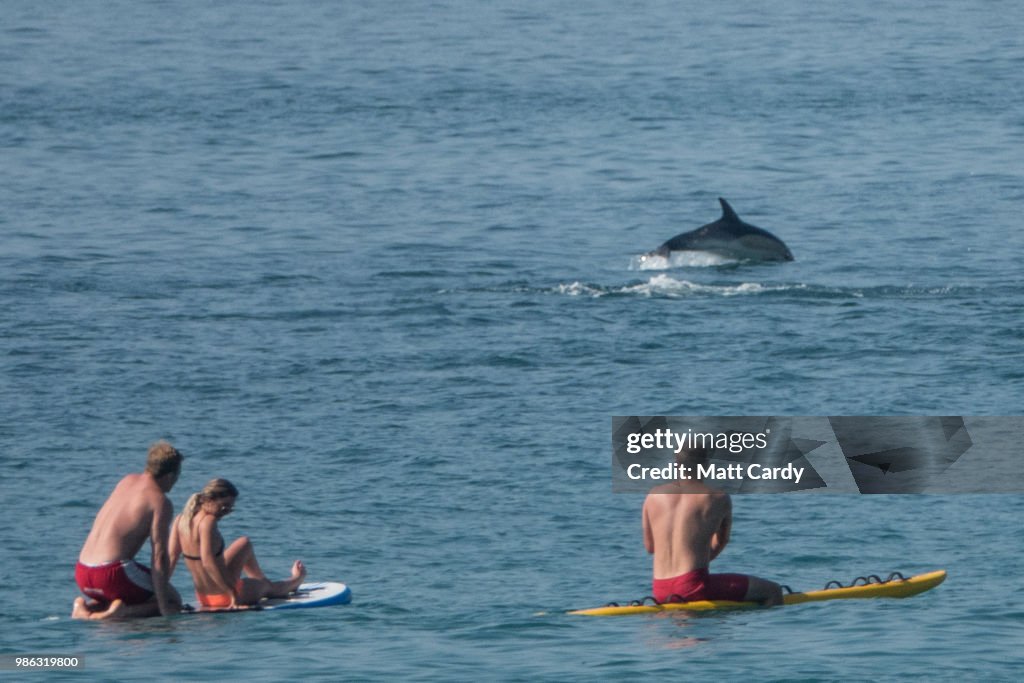 UK Sizzles In Record Summer Temperatures