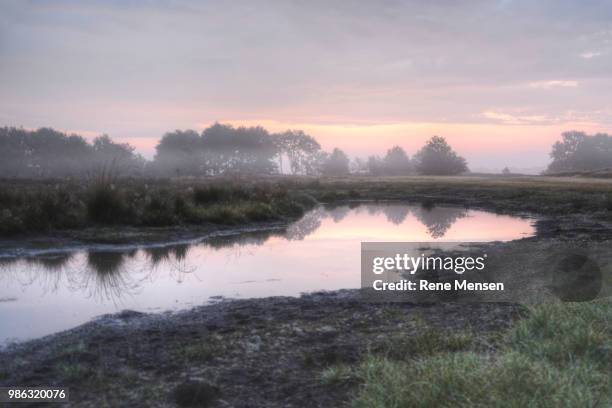 misty reflection - serene mensen ストックフォトと画像