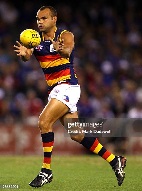 Graham Johncock of the Crows gathers the ball during the round five AFL match between the Western Bulldogs and the Adelaide Crows at Etihad Stadium...