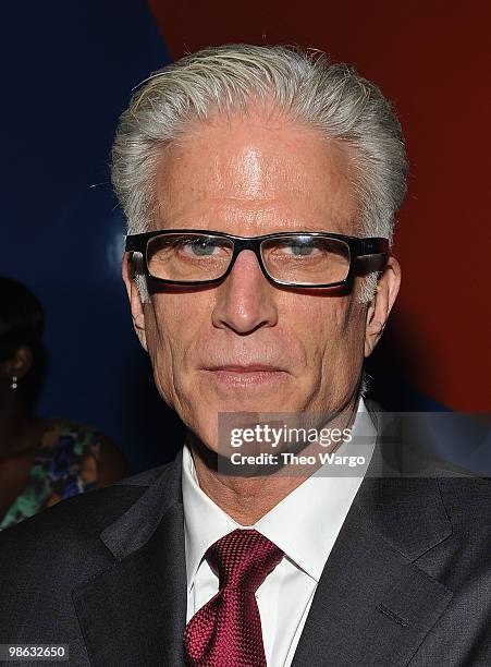 Ted Danson attends A Bid to Save the Earth green auction at Christie's on April 22, 2010 in New York City.