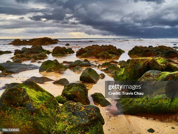 betka beach, mallacoota victoria australia - mallacoota 個照片及圖片檔