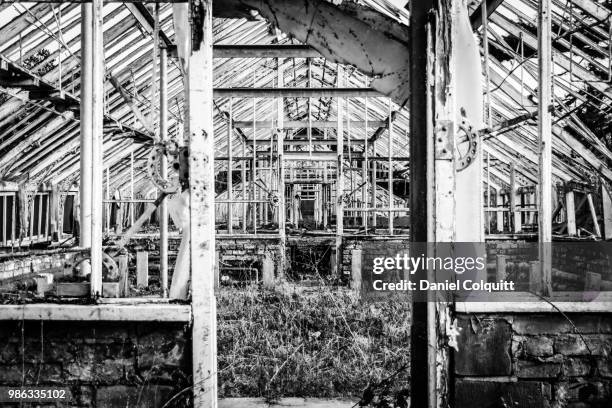 conservatory - colquitt stock pictures, royalty-free photos & images