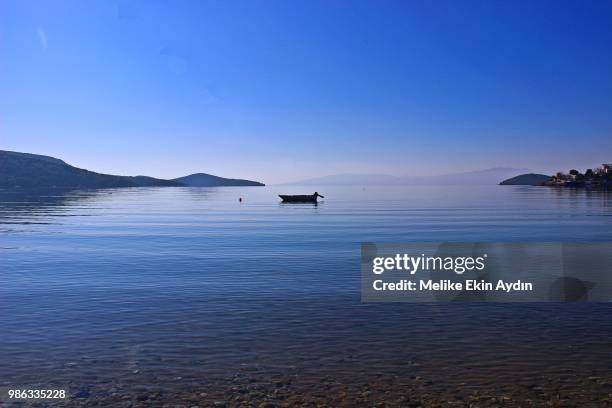 blue meets blue - melike fotografías e imágenes de stock