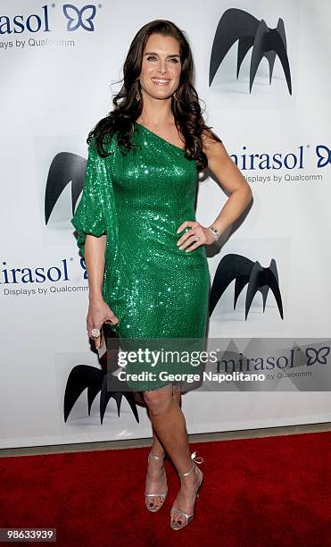 Actress Brooke Shields attends the 45th Annual National Magazine Awards at Alice Tully Hall, Lincoln Center on April 22, 2010 in New York City.