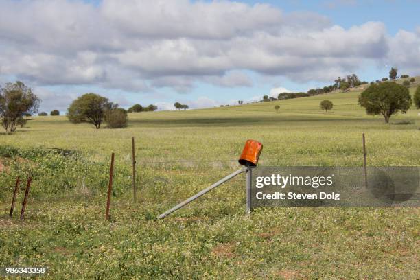 york countryside, western australia - western australia crop stock pictures, royalty-free photos & images