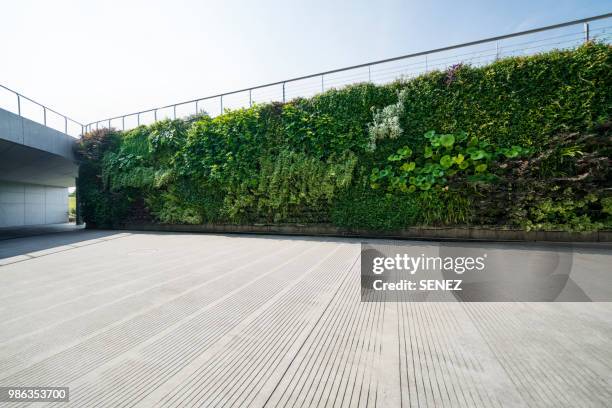 wall decorated with the plants - parkschild stock-fotos und bilder