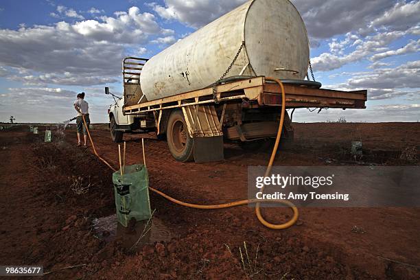 Alice Kenny works the hose of a watering truck brought into her family's farm to save sapling trees from dying in the drought October 22, 2008 in...