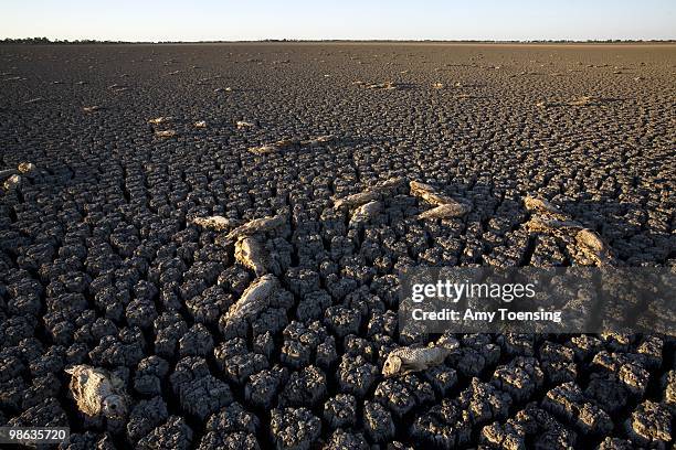 Murray Darling Basin.