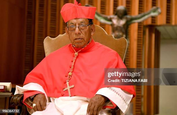 Newly-appointed Cardinal, Bolivia's Toribio Ticona Porco looks on as he attends the courtesy visit of relatives following a consistory for the...