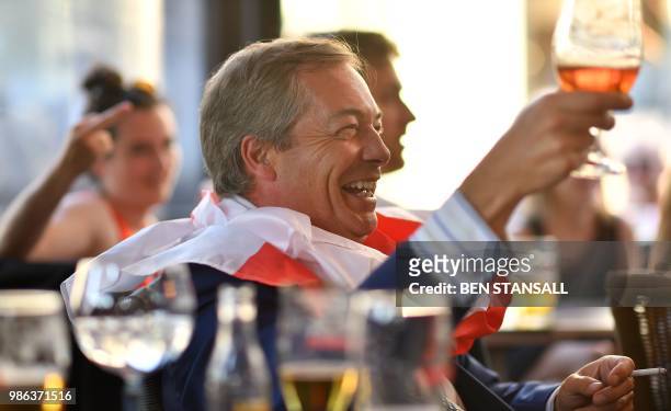 British politician Nigel Farage gestures with his glass at The Beer Factory Bar in Brussels on June 28 as he watches the Russia 2018 World Cup Group...