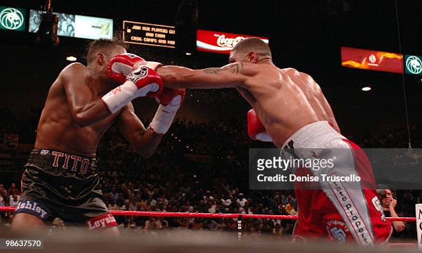 Felix "Tito" Trinidad and Winky Wright during their middleweight fight at the MGM Grand on Saturday, May 14, 2005. Wright won via 12 round unanimous...