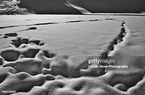 bigfoot - bigfoot snow stock pictures, royalty-free photos & images