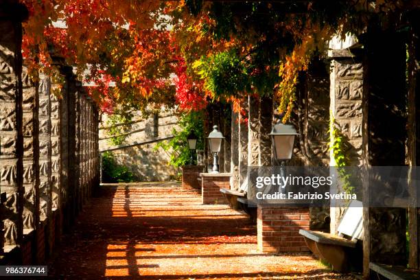 trieste - villa revoltella - fabrizio villa stock pictures, royalty-free photos & images