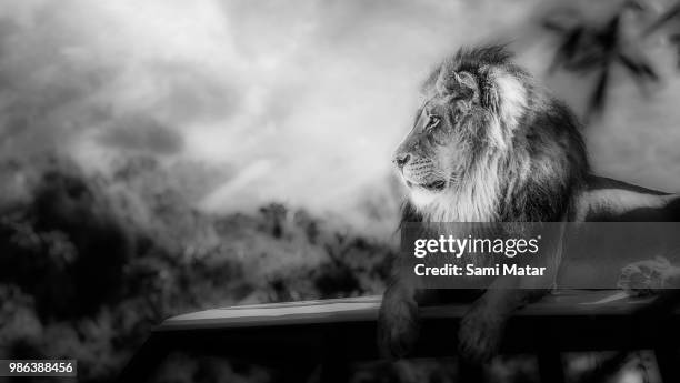 Sami Mathra Sami Matar Photos and Premium High Res Pictures - Getty Images
