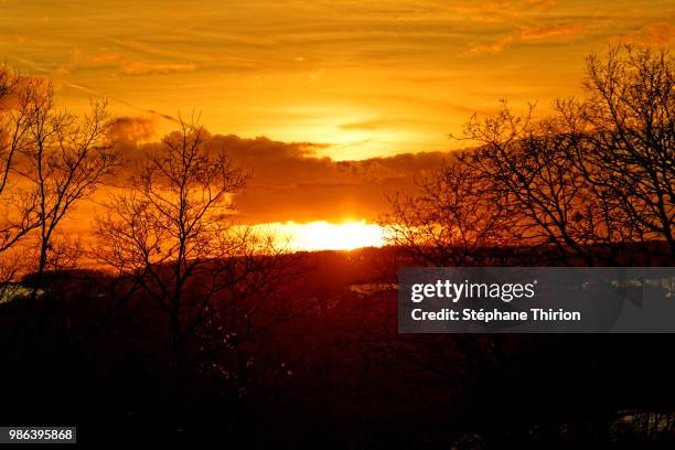 sunset and tree / coucher de soleil et arbre - coucher soleil stock pictures, royalty-free photos & images