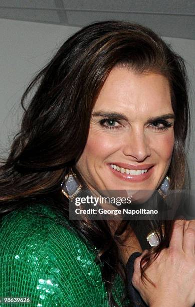 Actress Brooke Shields attends the 45th Annual National Magazine Awards at Alice Tully Hall, Lincoln Center on April 22, 2010 in New York City.