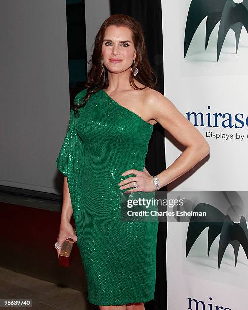 Actress Brooke Shields attends the 45th Annual National Magazine Awards at Alice Tully Hall, Lincoln Center on April 22, 2010 in New York City.