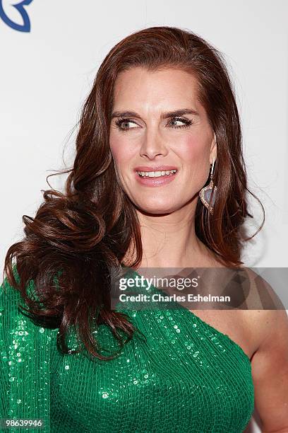 Actress Brooke Shields attends the 45th Annual National Magazine Awards at Alice Tully Hall, Lincoln Center on April 22, 2010 in New York City.