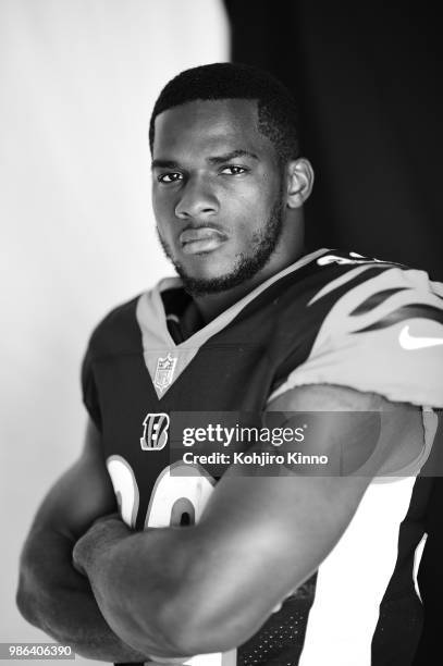 Rookie Premiere: Closeup portrait of Cincinnati Bengals running back Mark Walton posing during photo shoot at California Lutheran University....