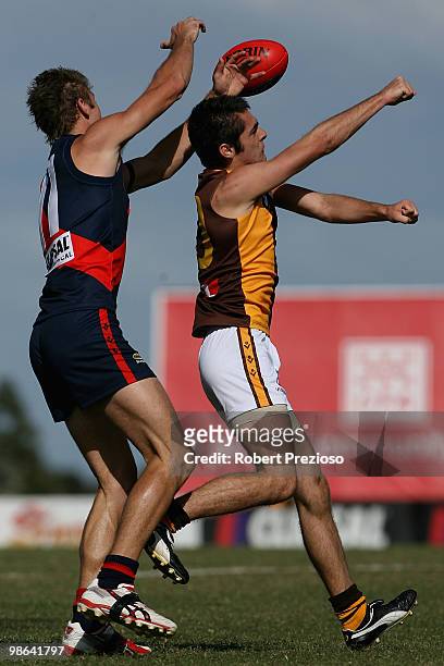 Matthew Dennis of the Tigers and Liam Tobin of the Hawks contest the ball during the round three VFL match between the Coburg Tigers and the Box Hill...