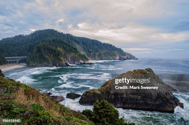 heceta head - oregon coast - heceta head stock pictures, royalty-free photos & images