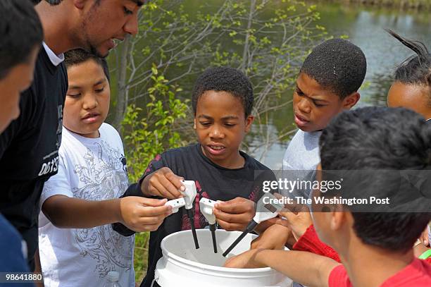 Owais Naeen shows Walter Lopez Barrett Lamkford, 11 and Kwali Wilkerson, 11 how to check the ponds temperature and PH balance on April 22, 2010....