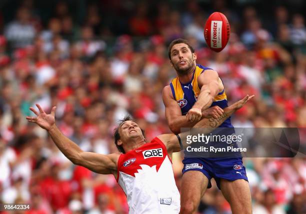 Daniel Bradshaw of the Swans is spoiled by Darren Glass of the Eagles during the round five AFL match between the Sydney Swans and the West Coast...
