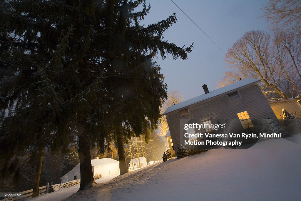 House and Trees