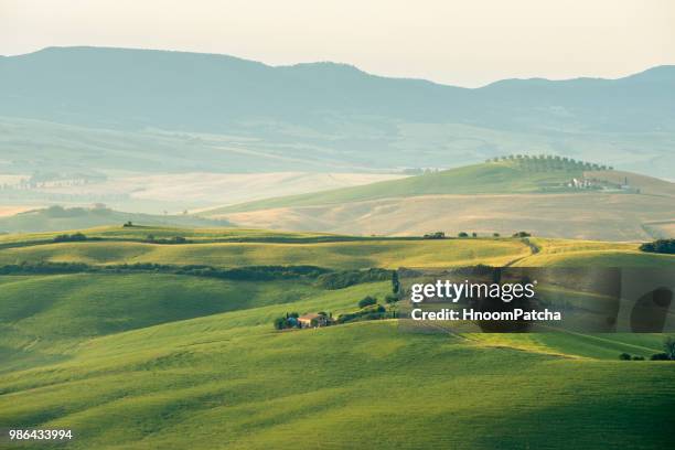 tuscany - san quirico d'orcia stock pictures, royalty-free photos & images