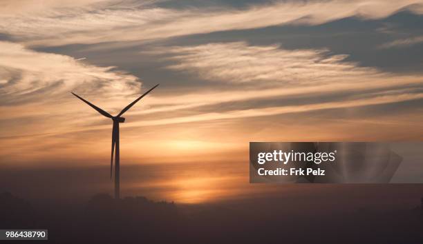 petit matin windpower ii - pelz stockfoto's en -beelden