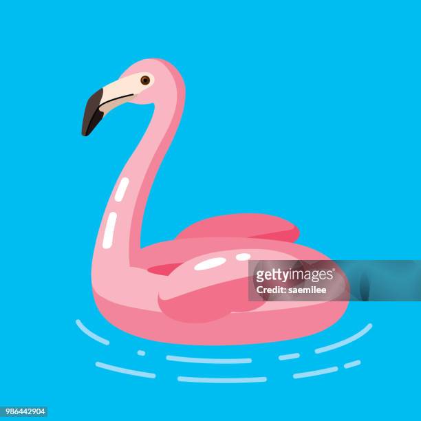 ilustrações, clipart, desenhos animados e ícones de float flamingo - zoologia