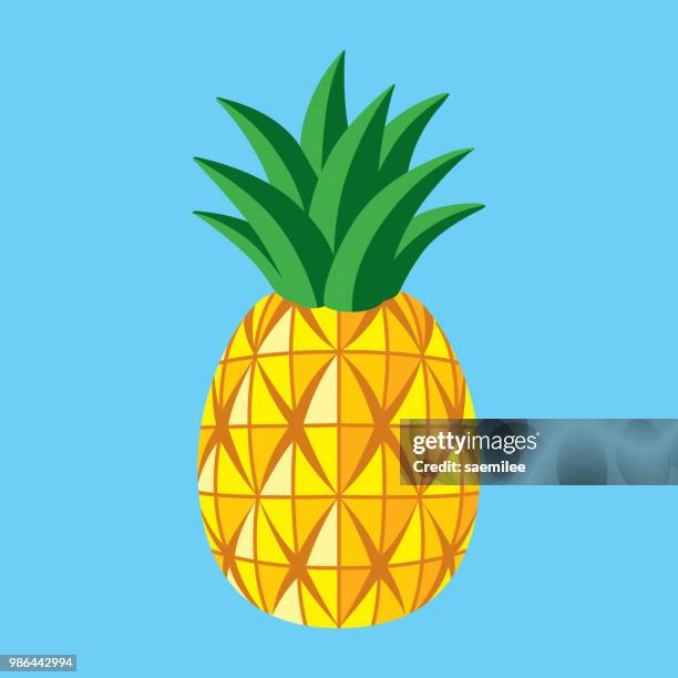 ilustraciones, imágenes clip art, dibujos animados e iconos de stock de piña - piña