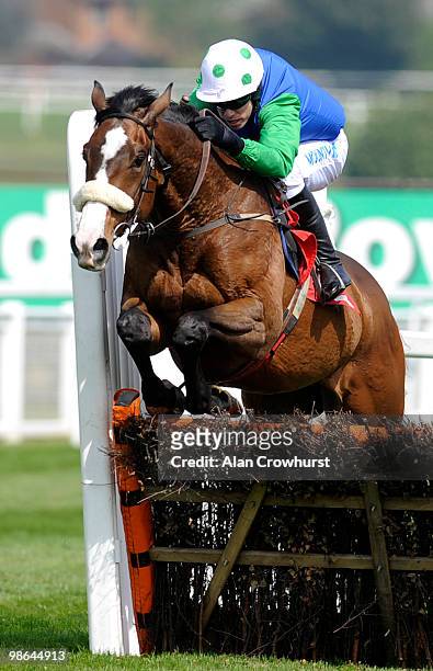 Ashkazar and Timmy Murphy clear the last to win The bet365.com Hurdle Race at Sandown racecourse on April 24, 2010 in Esher, England