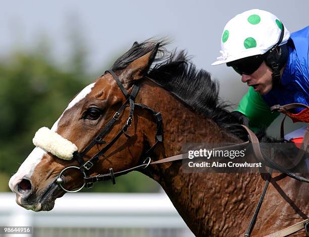 Ashkazar and Timmy Murphy win The bet365.com Hurdle Race at Sandown racecourse on April 24, 2010 in Esher, England
