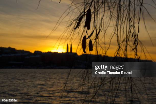 sunset in stockholm - beutel stock pictures, royalty-free photos & images