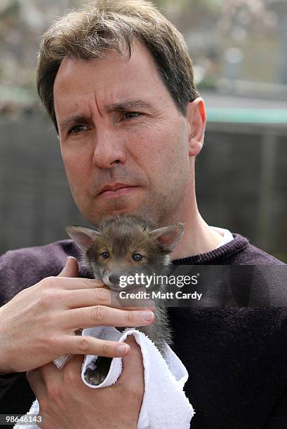 Labour candidate Dan Norris holds a baby fox cub rescued by the Secret World Wildlife Rescue centre in Somerset on April 24, 2010 in Midsomer Norton,...