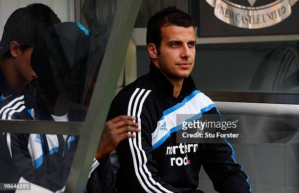 Newcastle defender Steven Taylor looks on from the bench before the Coca Cola Championship match between Newcastle United and Ipswich Town at St....