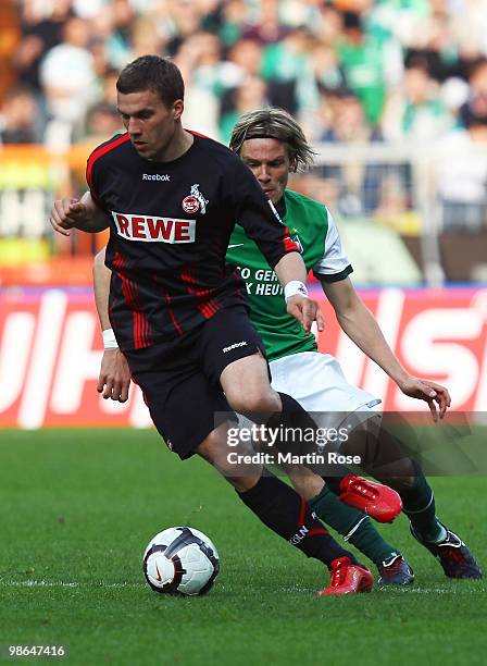 Clemens Fritz of Bremen and Lukas Podolski of Koeln compete for the ball during the Bundesliga match between Werder Bremen and 1. FC Koeln at Weser...