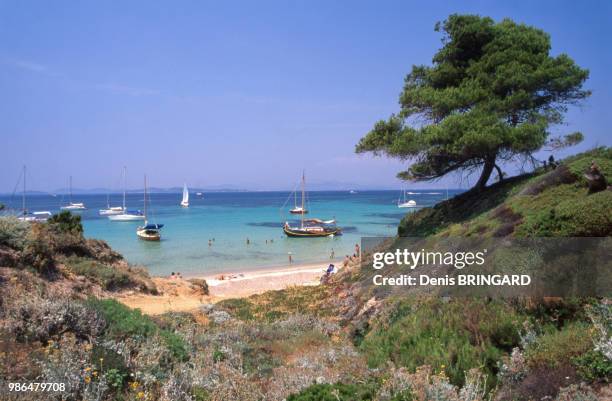 Plage sur l'île de Porquerolles, France.