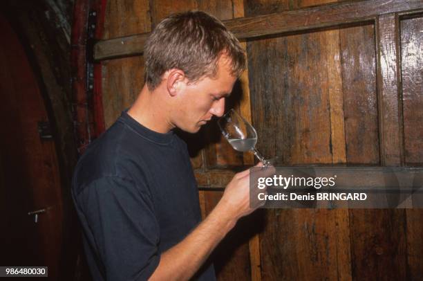 Contrôle de la vinification à l'odorat par Emile Beyer, viticulteur à Eguisheim en Alsace, France.