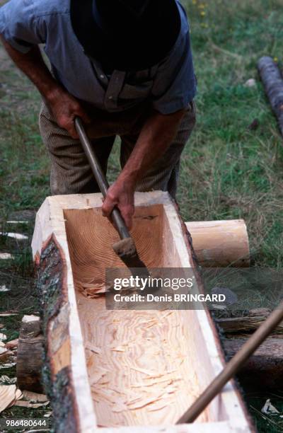 Fabrication d'un abreuvoir dans un tronc d'arbre évidé à la Fête des "Coqs des Foins" dans la Bresse, France.