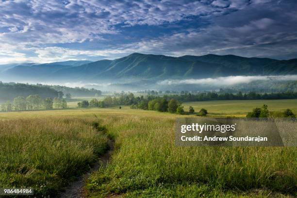 cades cove meadow - cades cove stock pictures, royalty-free photos & images